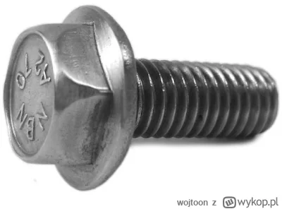 wojtoon - @serek_heterogenizowany: M6x20 DIN 6921