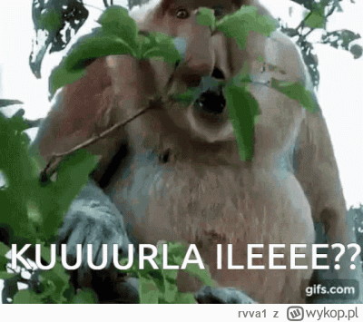 rvva1 - @adr260
@kontophone: e90 here ( ͡° ͜ʖ ͡°) droga zabawa ale co r6 w benzynie t...