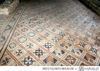 IMPERIUMROMANUM - Piękna rzymska mozaika z Francji

Piękna rzymska mozaika z IV wieku...