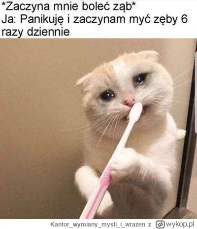 Kantorwymianymysliiwrazen - @PanMaglev: ( ͡° ͜ʖ ͡°)