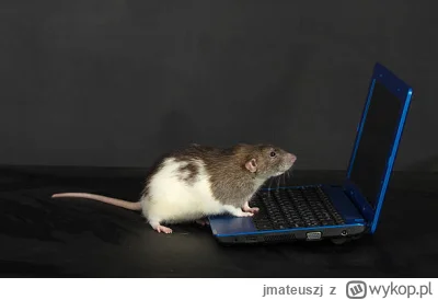 jmateuszj - #gielda #meczennicyxtb #xtb Dzień dobry, dziś szczur wstał wcześniej, i t...