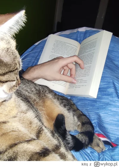 kitq - Czytam sobie książkę, kotek leży i pomrukuje, zaraz spanko.

Jest dobrze :3