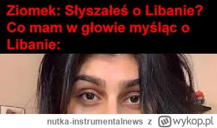 nutka-instrumentalnews - #polityka #polska obecna przypomina w 100 procentach #liban ...