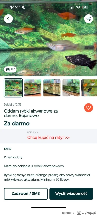 santek - Rybki już się znudziły, papugę kiedyś zeżarły koty ( ͡° ͜ʖ ͡°) #kikiswiat