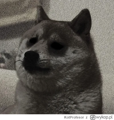 KotProfesor - Nic dziś nie robiłem w pracy i nie mam co wpisać do redmina - wyjdę bez...