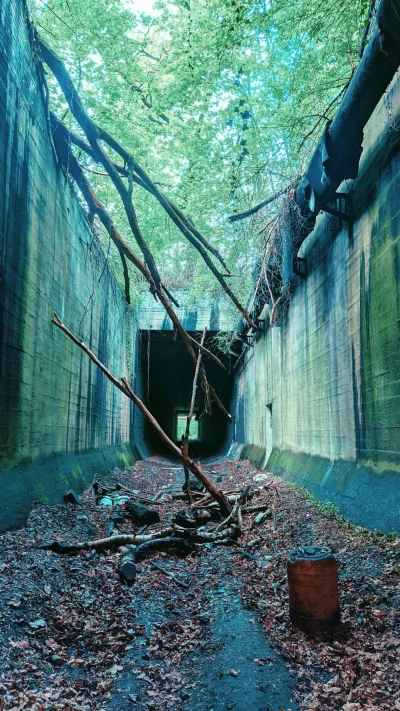 sylwke3100 - Nieużywany już zabrzański tunel należący do jeszcze niedawno czynnej lin...