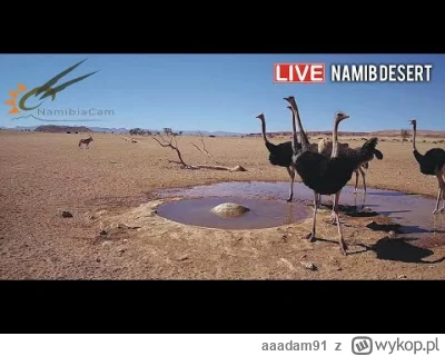 aaadam91 - https://www.youtube.com/watch?v=ydYDqZQpim8