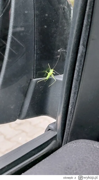 olowpb - #poranek #rano #pracbaza #auto

Taki mi się ancymon trafił przy porannej dro...