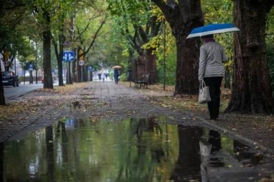 ChwilowaZielonka - @Noicozezebowniema: ( ͡° ͜ʖ ͡°)