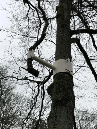 omgoogle - W poznaniu drzewo naprawili. 

#poznan #heheszki #polska #wtf