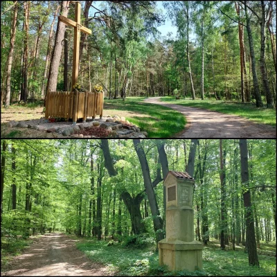SnikerS89 - >Rezerwat Florianów

To jeden z największych rezerwatów przyrody w woj. m...
