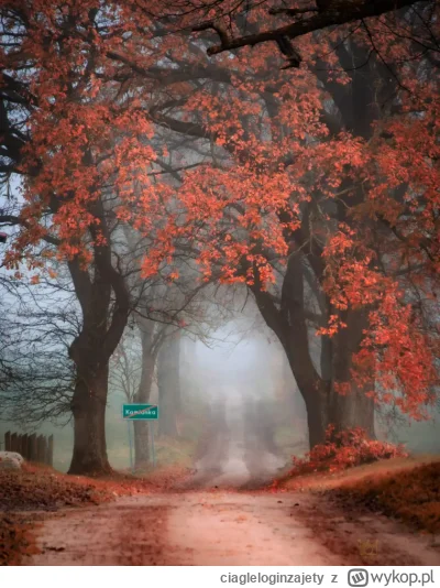 ciagleloginzajety - Fredi kamionka gmina burzenin

#natura #fotografia #przyroda #heh...