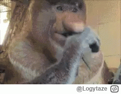 Logytaze - >kierowca widzi wypadek przed sobą i zamiast od razu hamować, to jedzie ja...