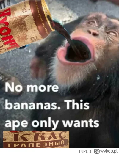 FuPa - #raportzpanstwasrodka