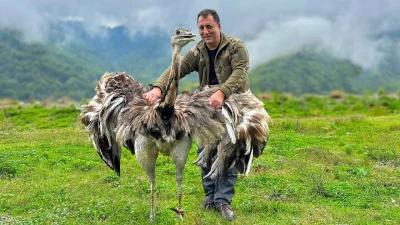 nunczako - Chcę być jak ten gość z Azembrejdżanu co griluje mamuty na grilu