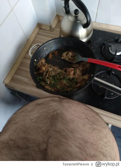 TavarishPiesov - Powiedzcie mi co jest z tymi babami. Zrobiłem wczoraj obiad. Polędwi...