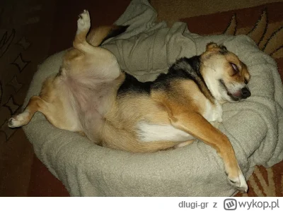 dlugi-gr - @anotherguy: ( ͡º ͜ʖ͡º)