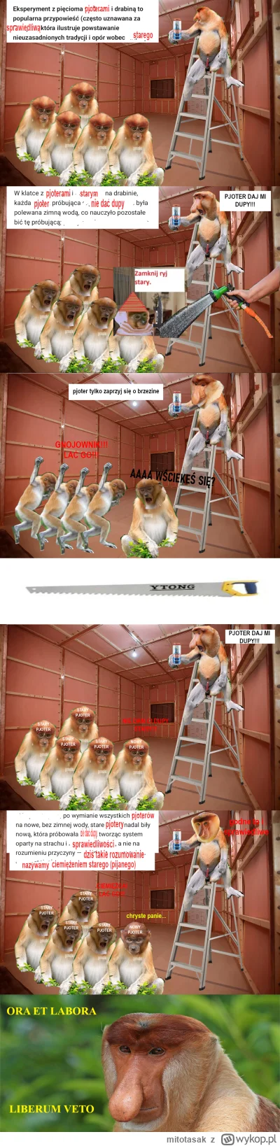 mitotasak - #konkursnanajbardziejgownianymemznosaczem