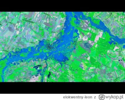 elokwentny-leon - @Klanevo: polecam całość