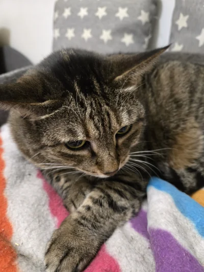 Solsith - @drobnenataryfe: czyść( ͡° ͜ʖ ͡°)