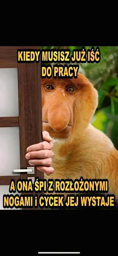 wojstenik - #heheszki #nosaczsundajski
