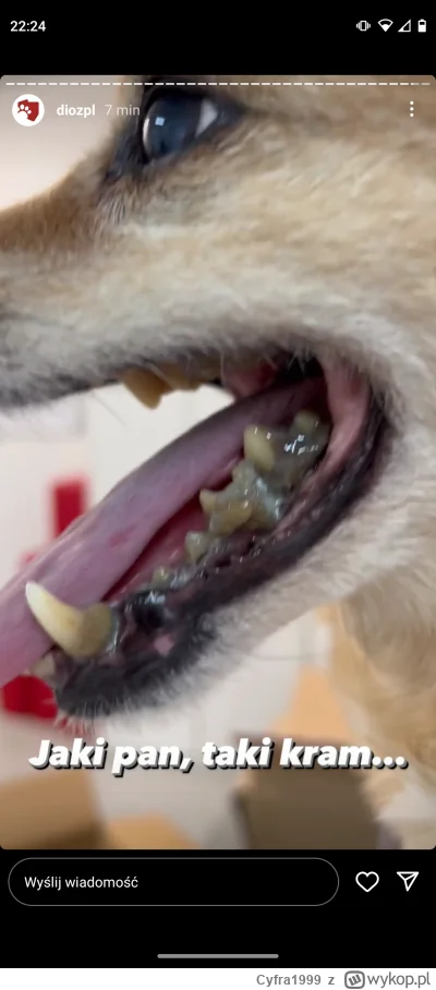 Cyfra1999 - #danielmagical