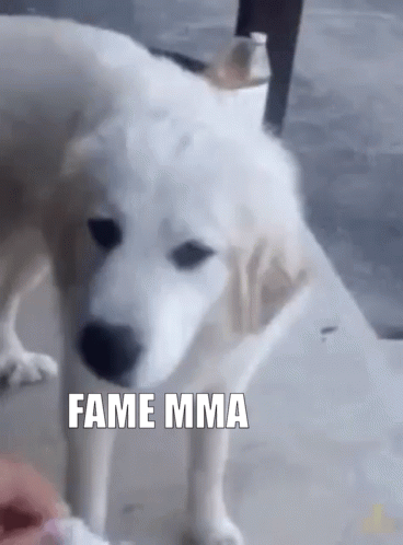 LewCyzud - #primemma