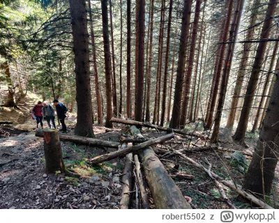 robert5502 - @tymczasemdzis: