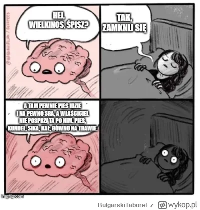 BulgarskiTaboret - #heheszki #bekazpodludzi #pies #psy