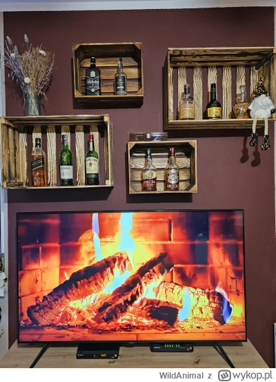 WildAnimal - Robię sobie wystawkę z whisky..
Niby pierdoła, a cieszę się jak dziecko....