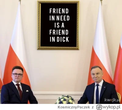 K.....k - bekazpisu #pis #polityka #duda 
 #sejm