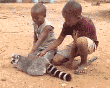 wfyokyga - Król Julian ma własnych murzynow