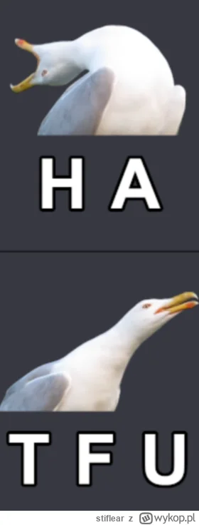 stiflear - @Izzywerin: Taaa, "może być spokój, może być grzecznie, może być miło? Moż...