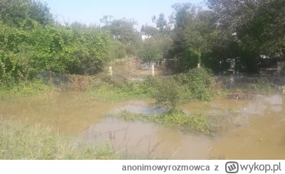 anonimowyrozmowca - #wroclaw #powodz

ogrodki dzialkowe przy ulicy grabiszynskiej bul...