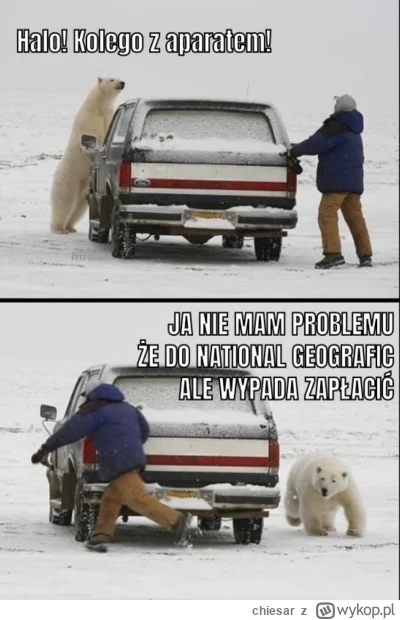 chiesar - Haloo. To nie ma tak...
#zakopane #zawszemialemlebdointeresow #zima