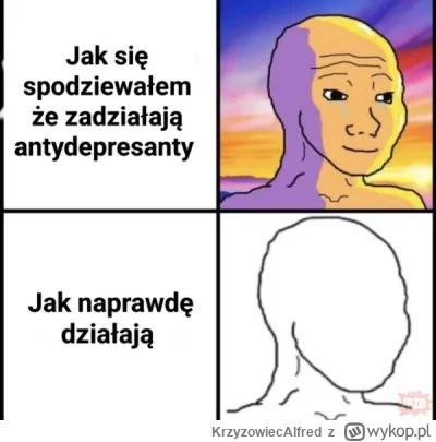 KrzyzowiecAlfred - Kto zażywał ten wie 

#przegryw #schizofrenia #depresja #psychiatr...