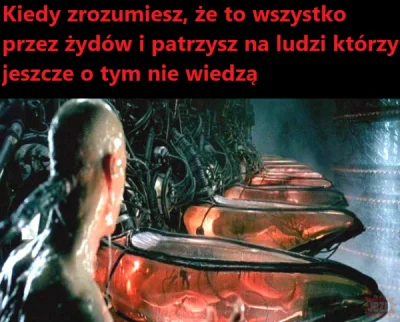 panDario - #izrael #heheszki