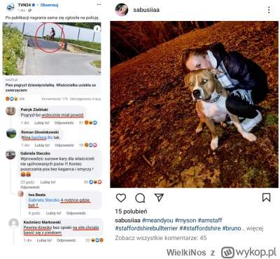 WielkiNos - @Yans_Zoon za to psiara jak tu: