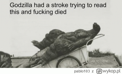 pablo103 - >Chciałbym polecić firme  Pana Damiana Tatara  nip 7722409216 HomeDesign  ...