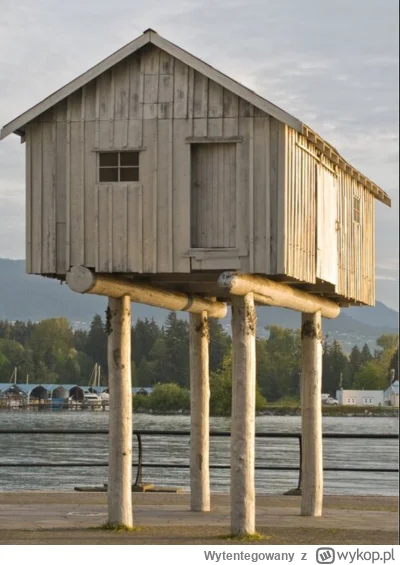 Wytentegowany - @Szmalu może powinni tam odbudowywać domy na palach i jak będzie powó...
