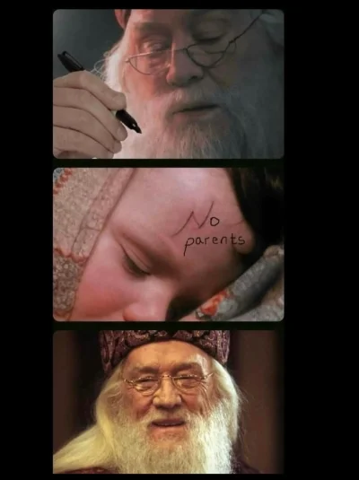 PomidorovaLova - #harrypotter #heheszki #humorobrazkowy