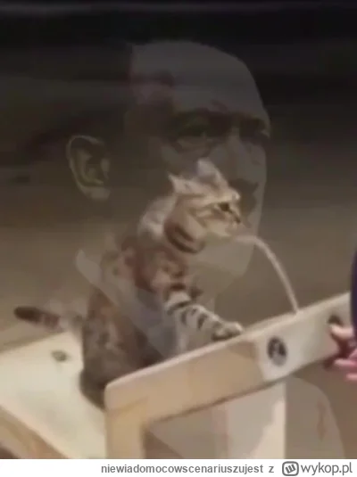 niewiadomocowscenariuszujest - #ocieplaniewizerunkuadolfahitlera