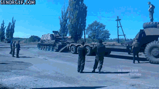 ShineLow - #solidarnizwfyokygom