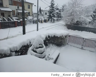 Funky__Koval - Super pogoda! Jak w bajce!  A teraz odśnieżanie ( ͡° ʖ̯ ͡°) 

#zima #s...