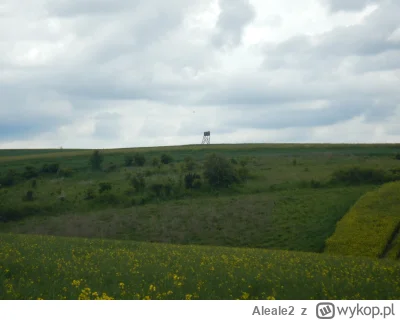 Aleale2 - #ufo kurła Ufo