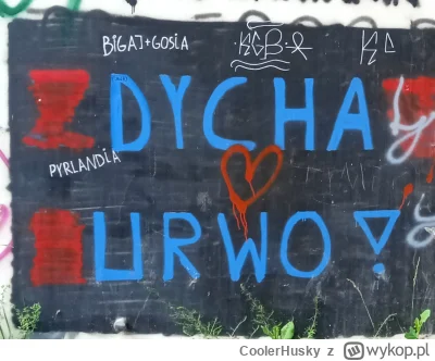 CoolerHusky - dycha urwo! #przegryw #spierdotrip