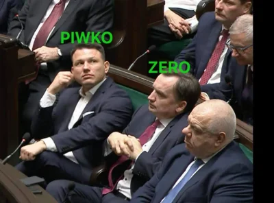 Ion_cannon - #heheszki  #humorobrazkowy #sejm ( ͡º ͜ʖ͡º)