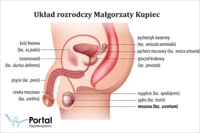 g0blacK - Słuchajcie widzowie i fani. Dobrze wiecie, że sam lubię pokręcić sobie becz...