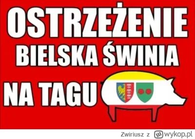 Zwiriusz - Uwaga Hovno patrol na tagu!
#kononowicz #patostreamy #sławomirnowakzkrzyżo...