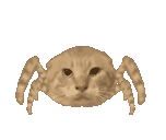 dywergent - still calling you and me